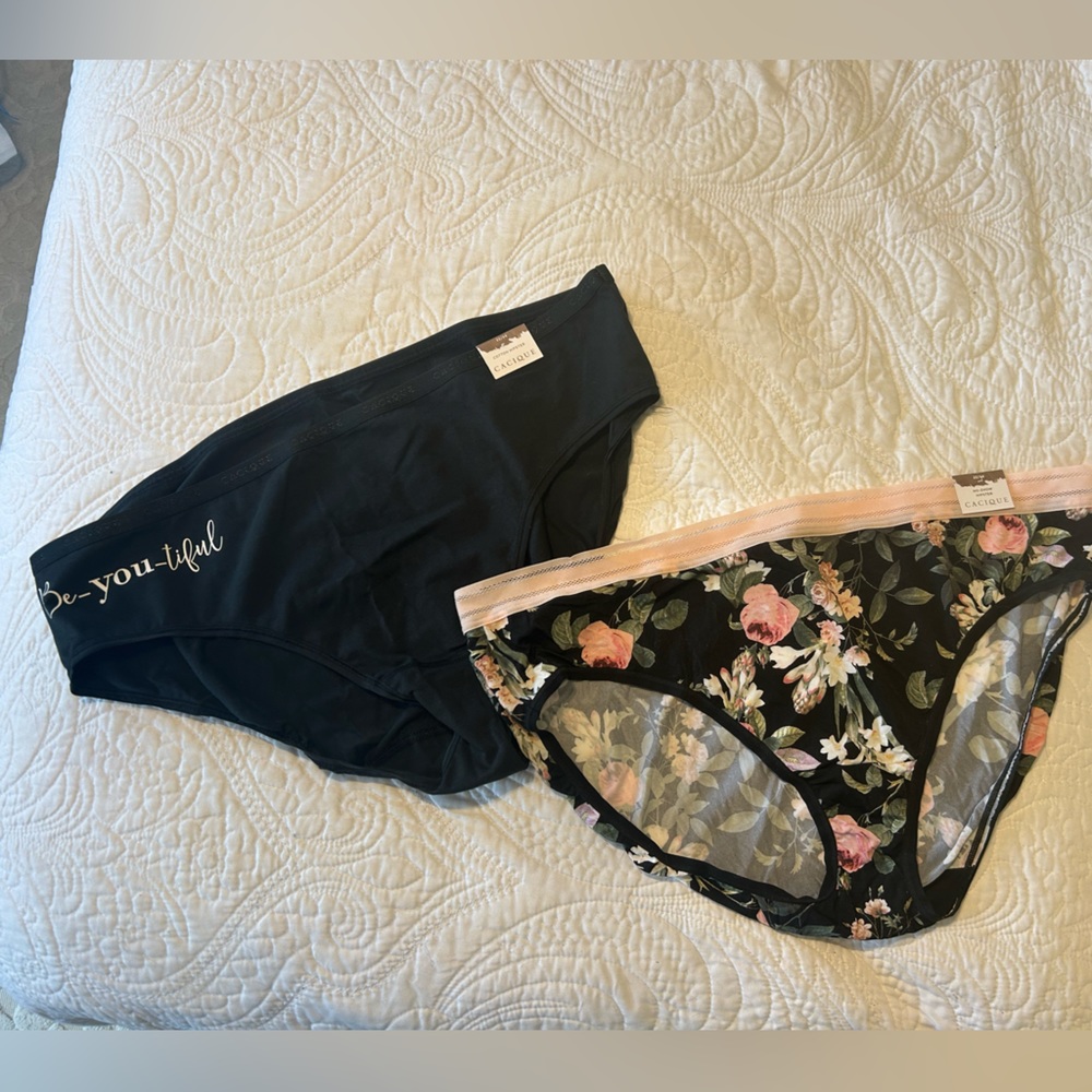 NWT Two 22/24 Lane Bryant Cacique Cotton Hipsters